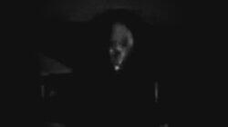 Grim Reaper in Massachusetts and More Grim Reaper in Massachusetts and More