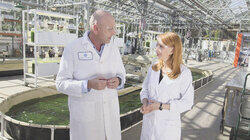 Algae: The Power of Tomorrow