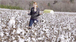 Sustainable Cotton Sustainable Cotton