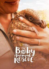Baby Animal Rescue Baby Animal Rescue