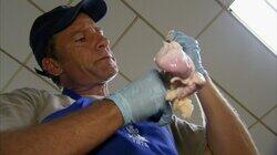 Medical Waste Disposal Expert
