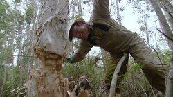 Wetland Warrior