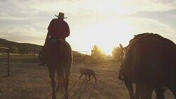 To Kill a Cowboy To Kill a Cowboy