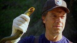 Sea Lamprey Exterminator