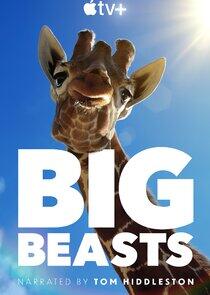 Big Beasts Big Beasts