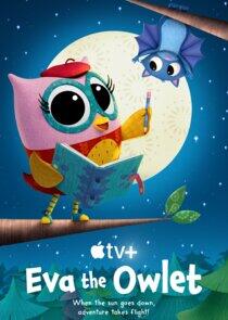 Eva the Owlet Eva the Owlet