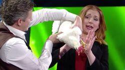 Penn, Teller and a Mind Reading Chicken Penn, Teller and a Mind Reading Chicken