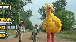 Follow That Bird Follow That Bird