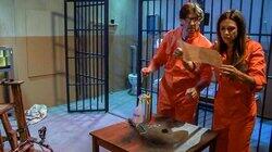Prison Break Prison Break