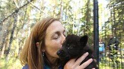 Leopards, Wolf Pups & Grizzlies, Oh My! Leopards, Wolf Pups & Grizzlies, Oh My!