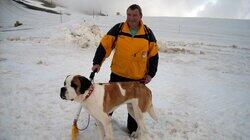 Doggone Jobs Doggone Jobs