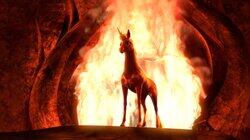 The Fire Unicorn The Fire Unicorn