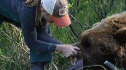 Bad News Bear