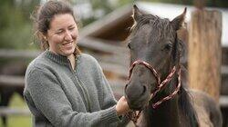 A Hoarse Horse A Hoarse Horse