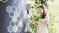 The Queen Bee of Hangouts The Queen Bee of Hangouts