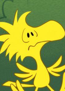 Woodstock Woodstock