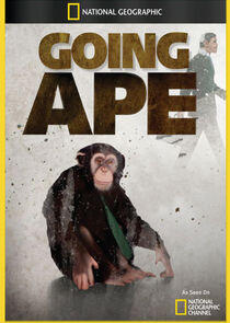 Going Ape Going Ape