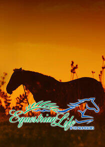Equestrian Life in the Palm Beaches Equestrian Life in the Palm Beaches