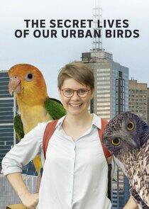 The Secret Lives of Our Urban Birds The Secret Lives of Our Urban Birds
