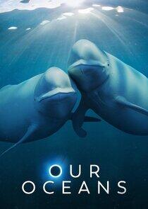 Our Oceans Our Oceans