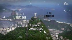 Amazonia Amazonia
