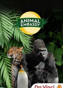 Animal Embassy Animal Embassy