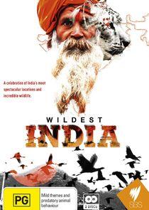 Wildest India Wildest India