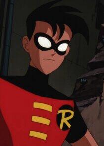 Robin Robin