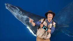 Andy and the Humpback Whale Andy and the Humpback Whale