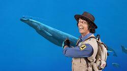 Basilosaurus and Barnacles Basilosaurus and Barnacles