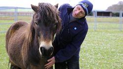 A Pony Saved Me from Myself and Drugs Raid