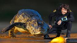Andy and the Caimans Andy and the Caimans