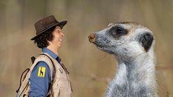 Andy and the Meerkats Andy and the Meerkats