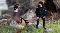 Andy and the Wood Ducks Andy and the Wood Ducks