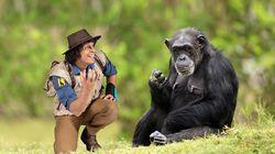 Andy and the Chimps Andy and the Chimps