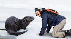 Otters Otters