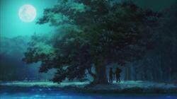 Camping Trip Camping Trip