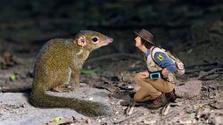Andy and the Treeshrew Andy and the Treeshrew