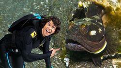 Andy and the Sarcastic Fringehead Andy and the Sarcastic Fringehead