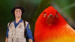 Andy and the Bowerbird Andy and the Bowerbird