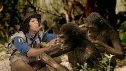 Australopithecus and Hair Australopithecus and Hair
