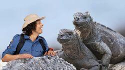 Marine Iguanas Marine Iguanas