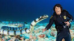 Andy and the Sea Kraits Andy and the Sea Kraits