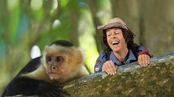 Capuchin Monkey Capuchin Monkey