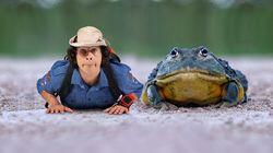 Bull Frogs Bull Frogs