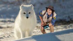 Andy and the Arctic Fox Andy and the Arctic Fox