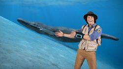 Kimmerosaurus and Clamshell Kimmerosaurus and Clamshell