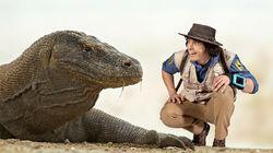 Andy and the Komodo Dragon Andy and the Komodo Dragon