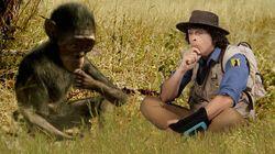 Australopithecus and Tool Australopithecus and Tool