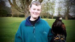 Banned Breeds, a Fire Detection Dog and a Harris Hawk